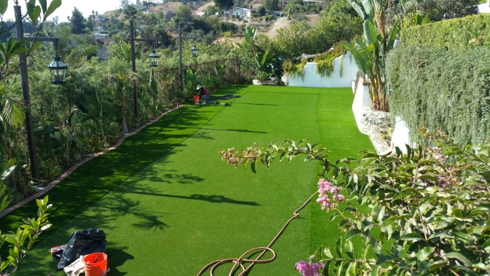 Complete Front & Backyard Lawn Transformation — Sherman Oaks, Los Angeles