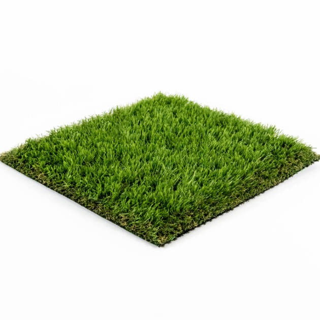 Everyday Green — The Perfect Natural Lawn for Every Single Day