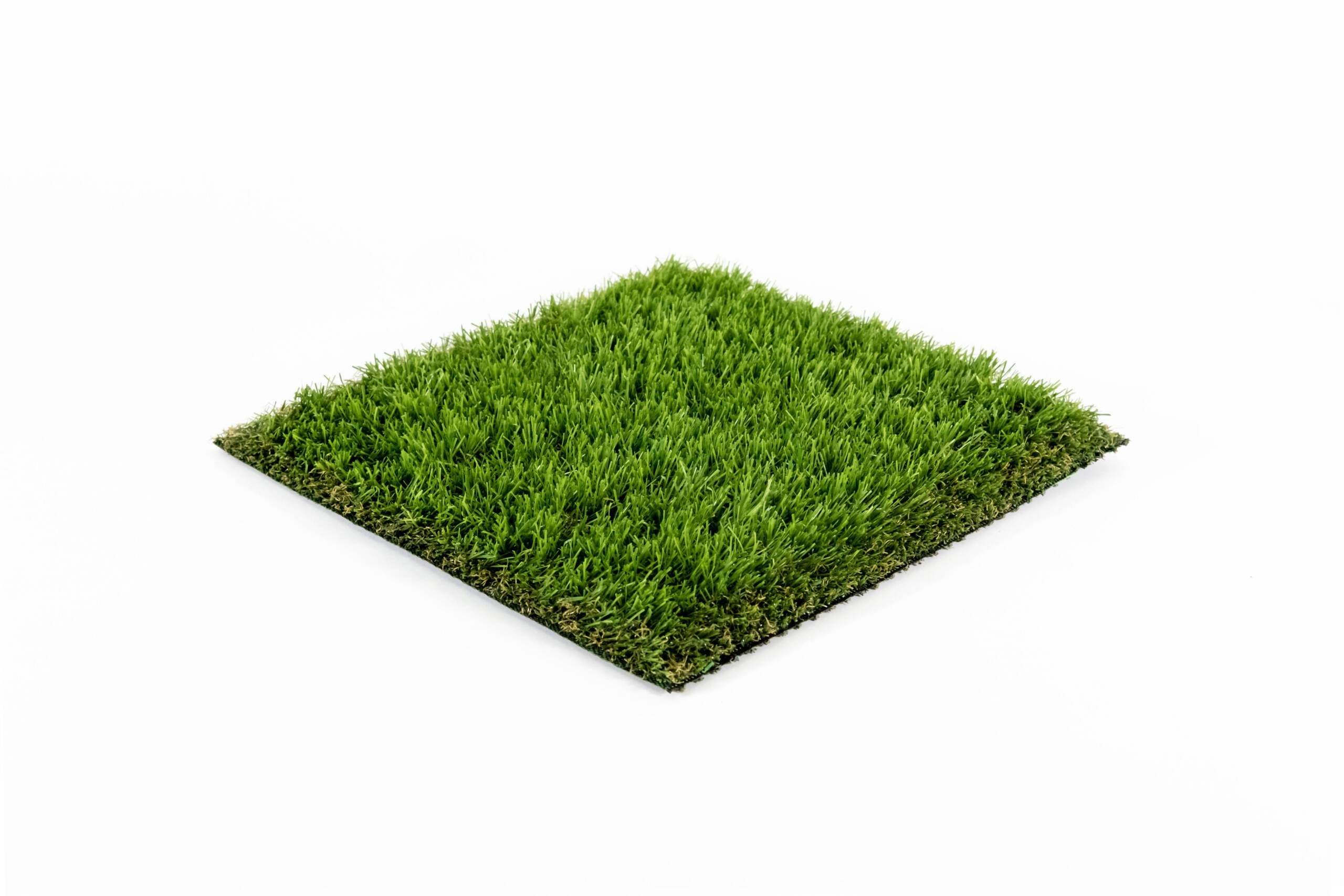 Everyday Green — The Perfect Natural Lawn for Every Single Day