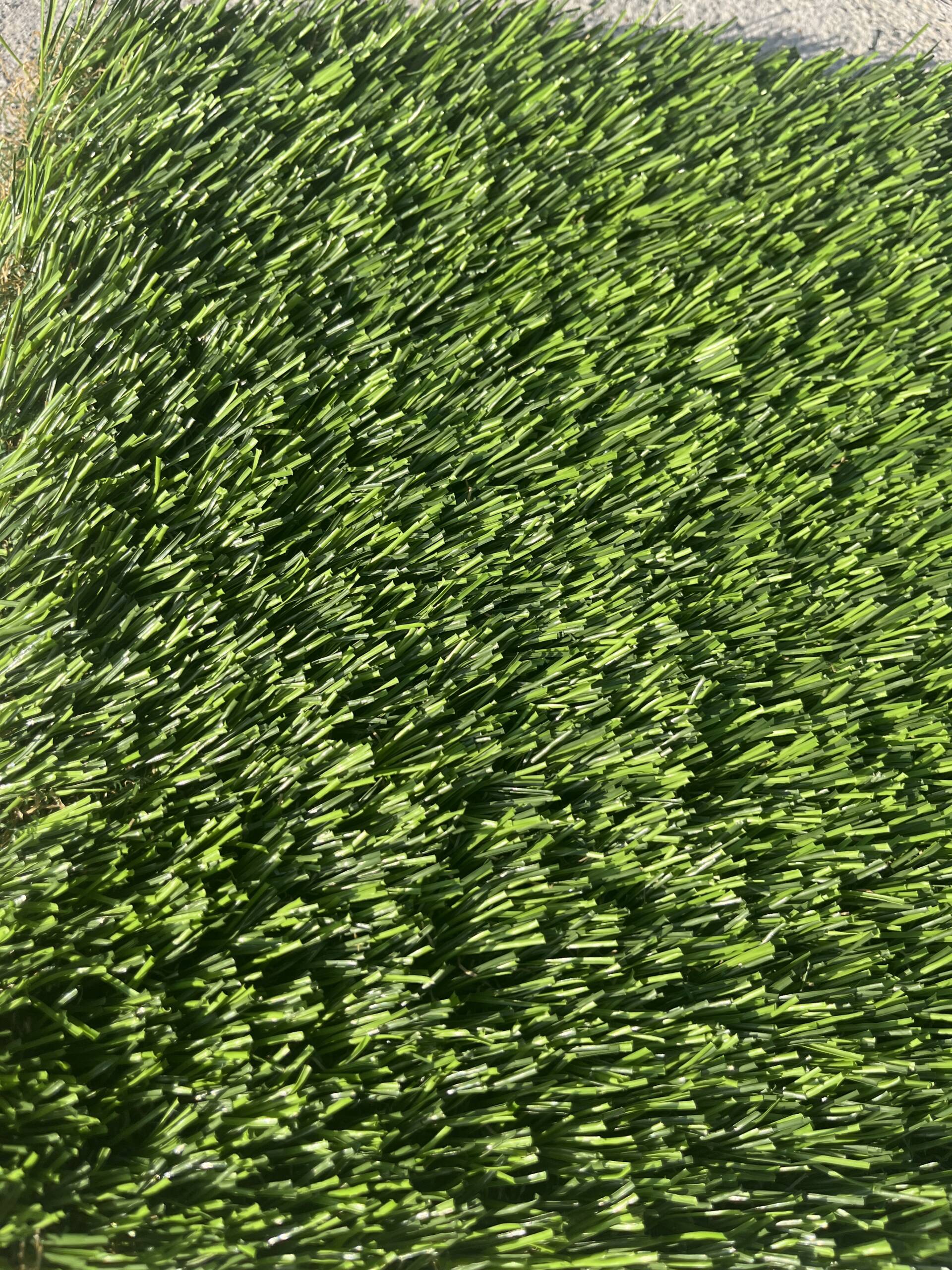 Golden Hour Grass — Premium Soft Artificial Grass for Los Angeles Homes - Image 2