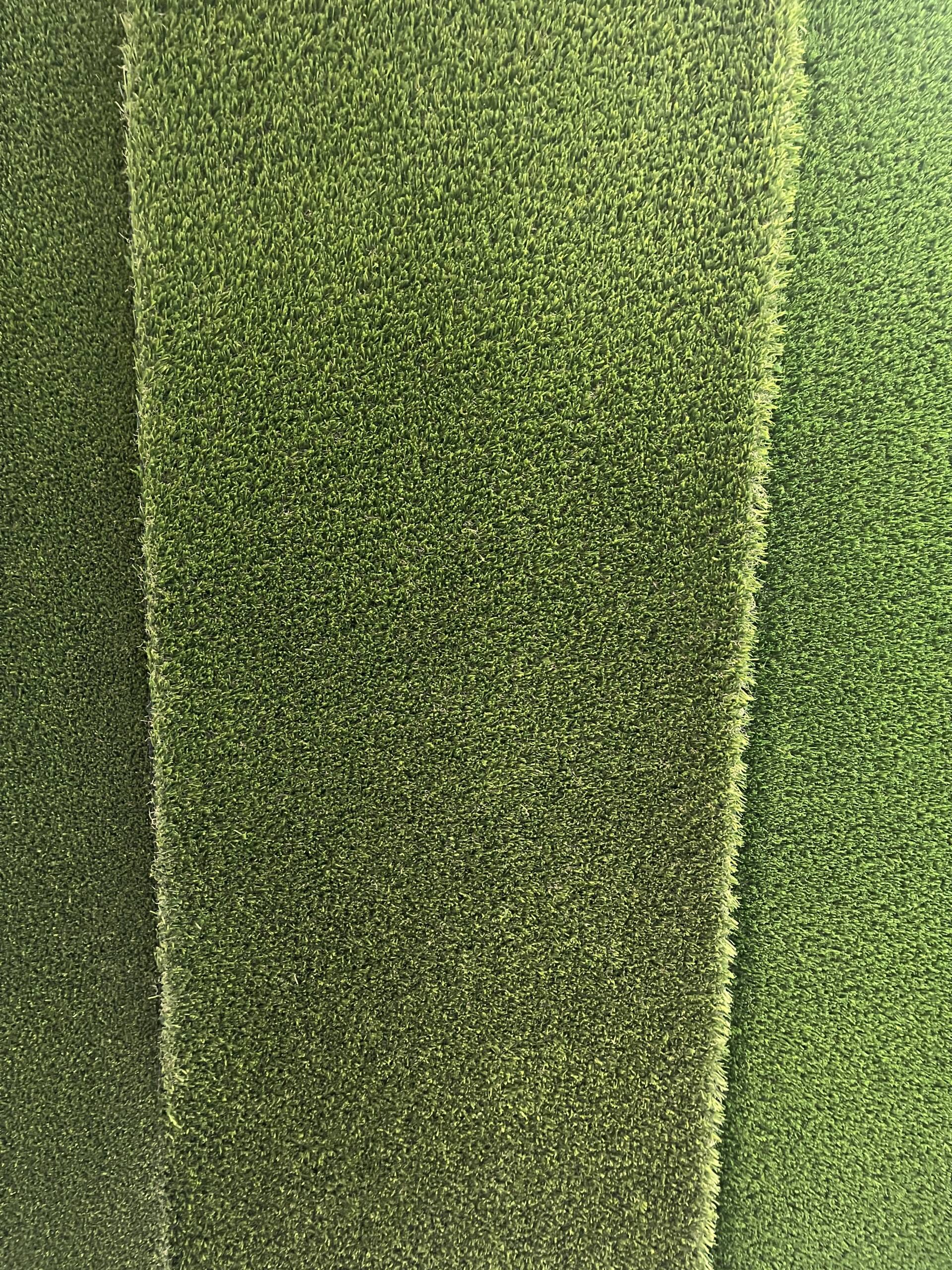 Fresh Cut — Deep Color, Versatile Performance for Every Space